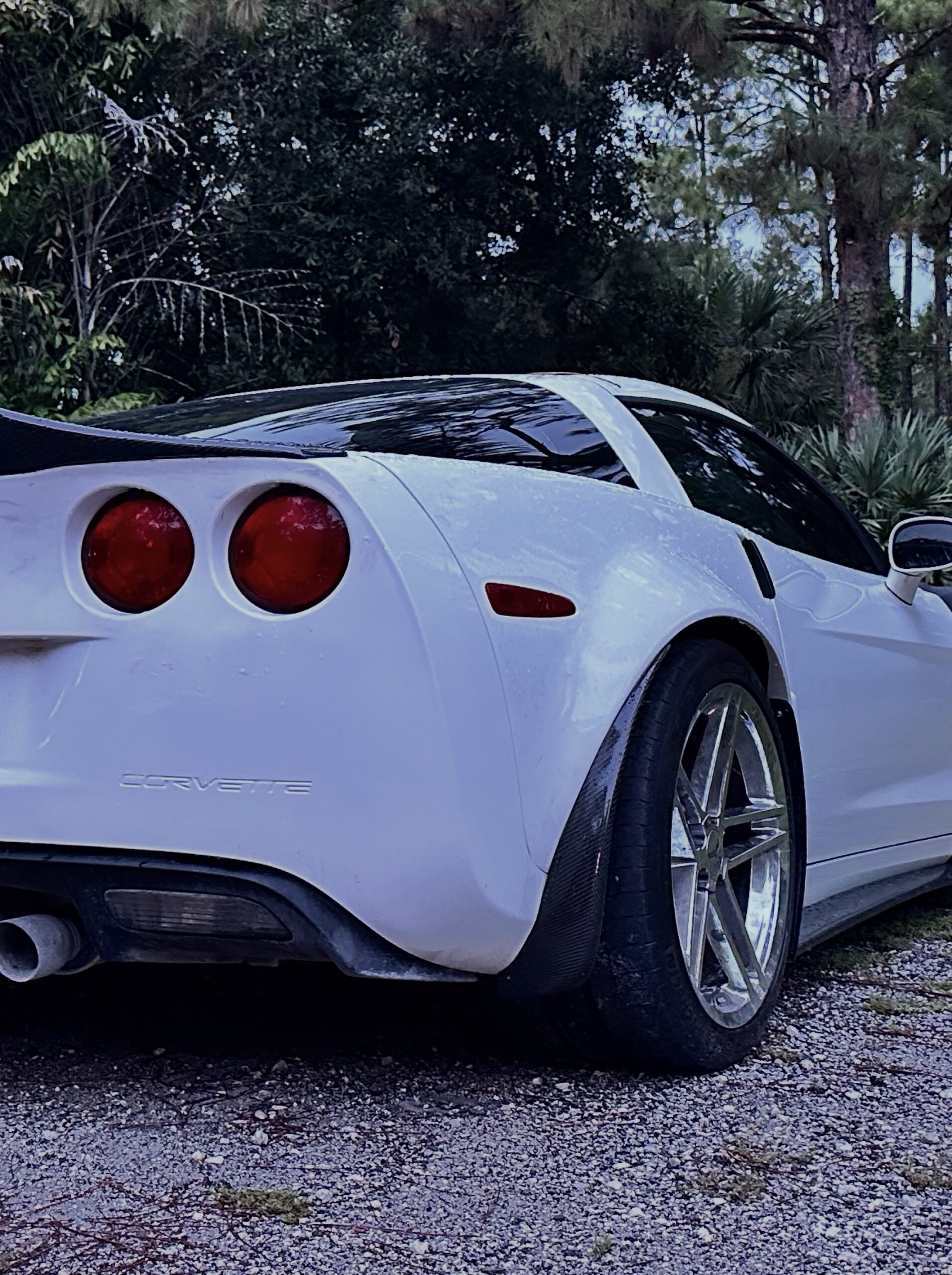 ZR1 Style Widebody Rear Quarters - Image 4